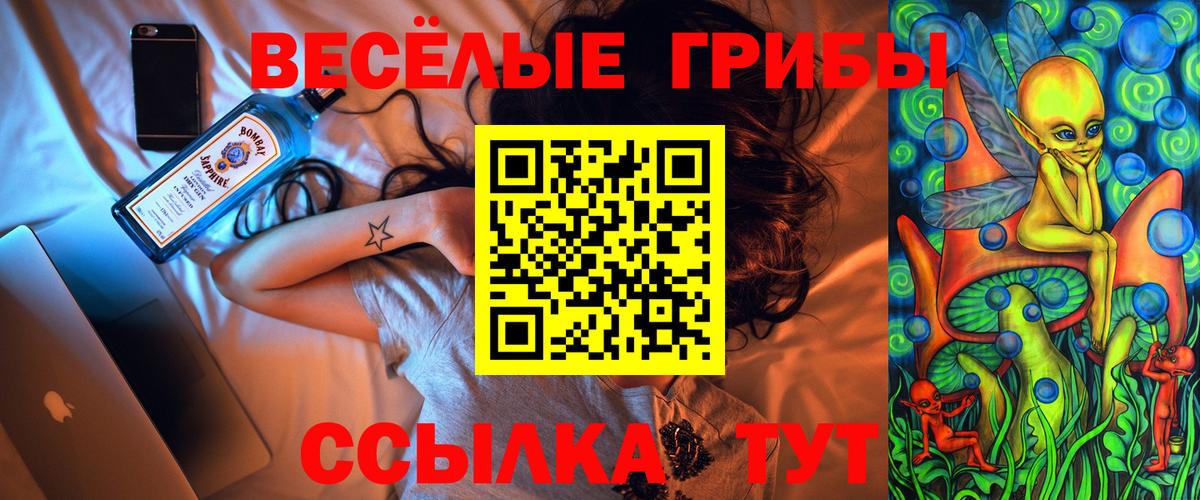 Галлюциногенные грибы Psilocybine cubensis  Вход с VPN  Лабинск 